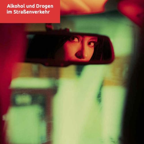 Titelbild - Große Broschüre